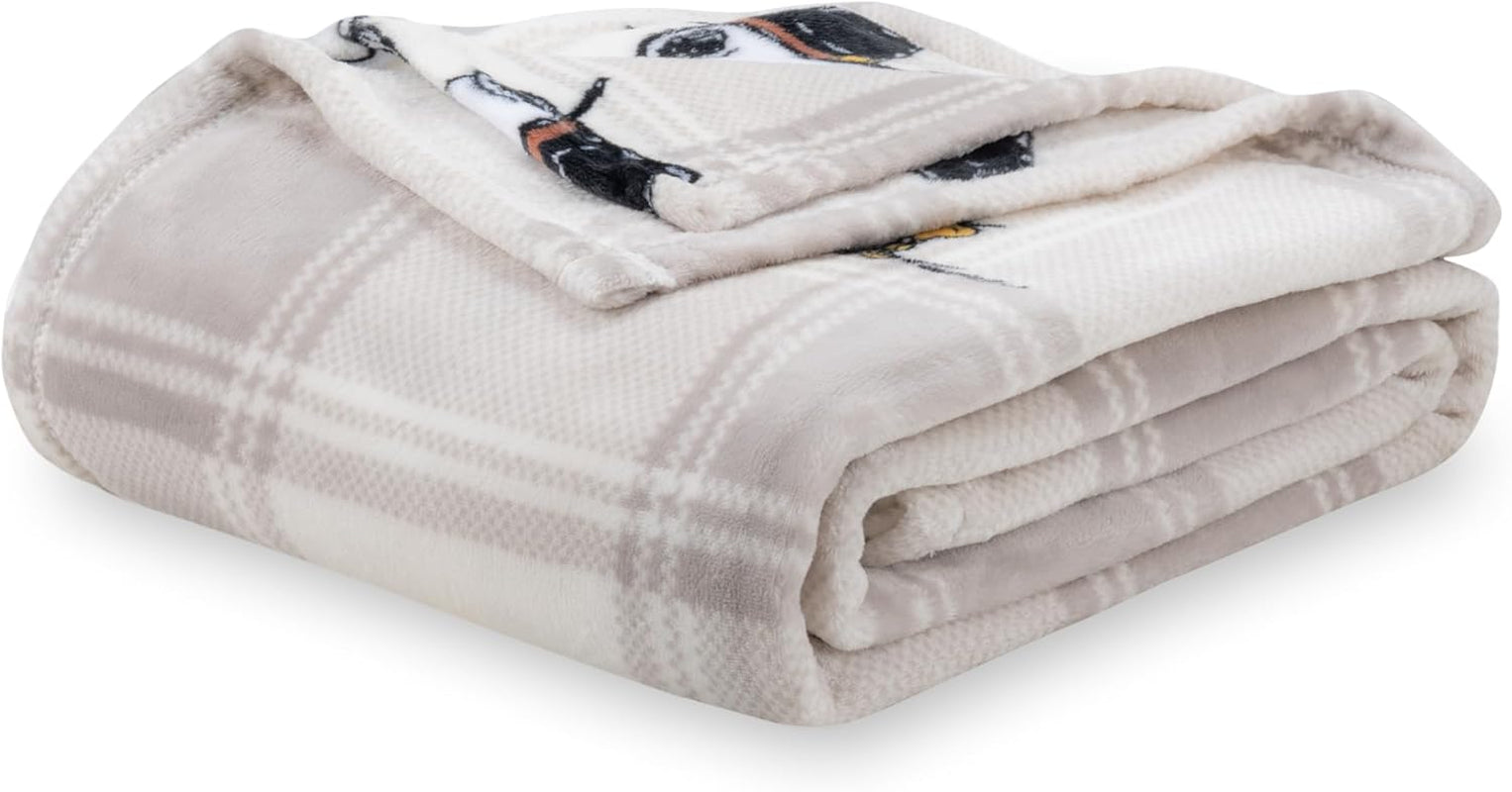 Peanuts® Velvetloft® Cute Character Snoopy Plush Throw Blanket,Snoopy and Woodstock Fall Birds & Leafs Orange,Throw 55 in X 70 in (Official Peanuts® Product)