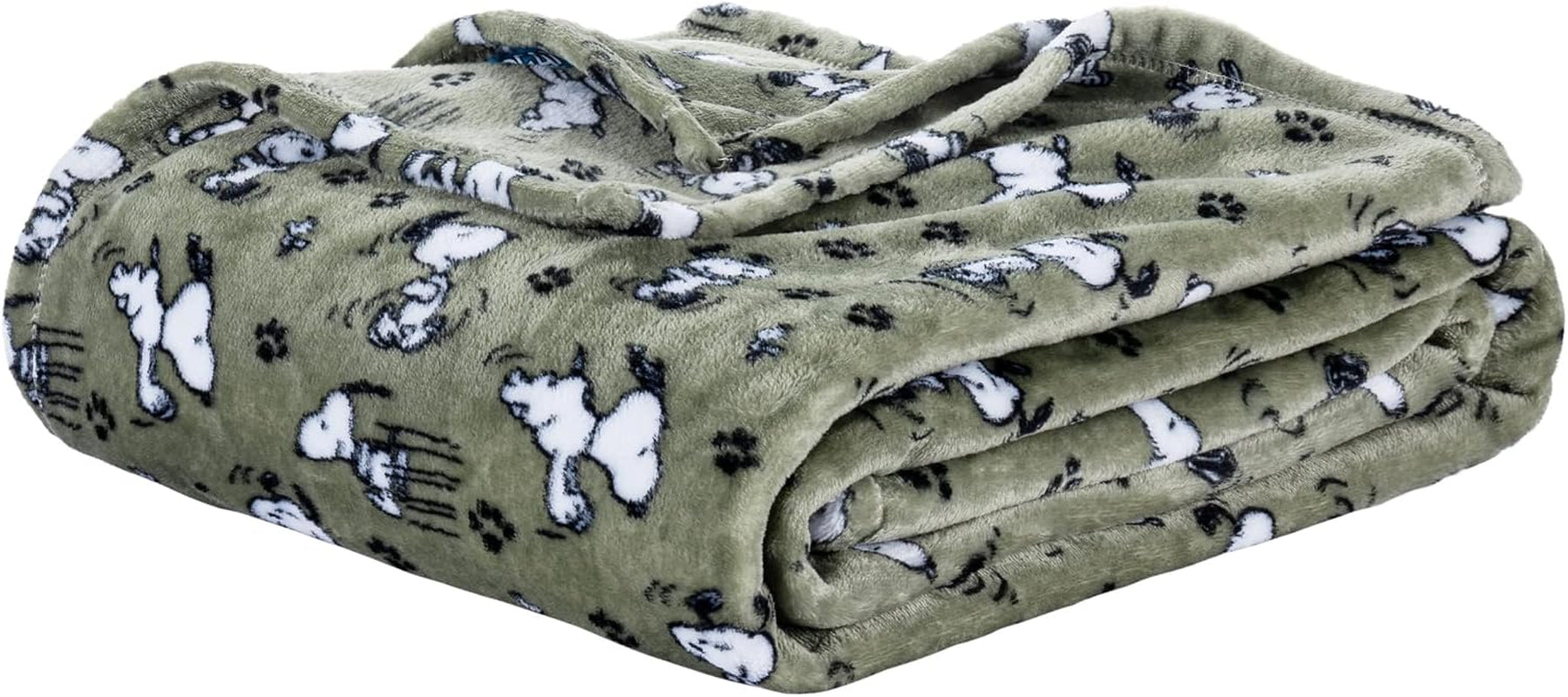 Peanuts® Velvetloft® Cute Character Snoopy Plush Throw Blanket,Snoopy and Woodstock Fall Birds & Leafs Orange,Throw 55 in X 70 in (Official Peanuts® Product)